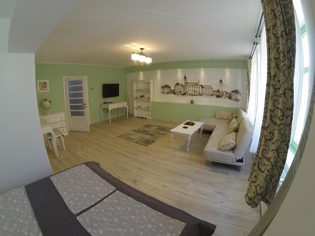 Cetatii Apartment 锡比乌 外观 照片